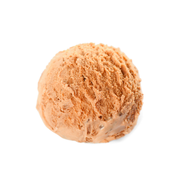 Salted Caramel ice Cream - 4L