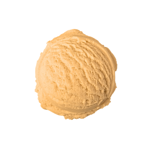 Melon Sorbet – 4L