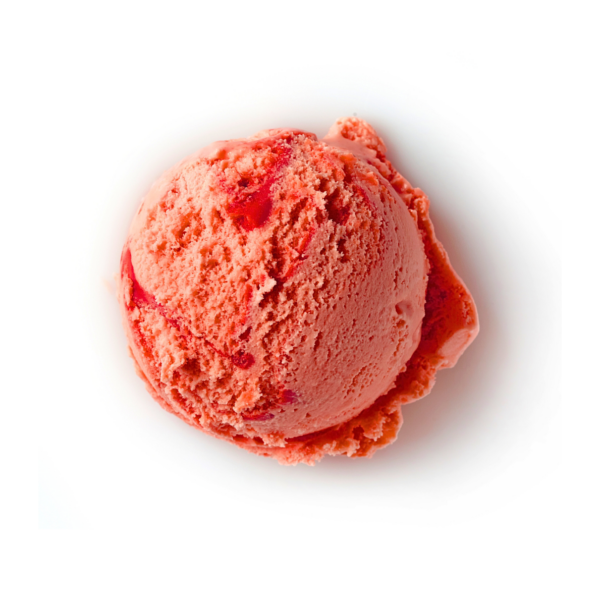 Watermelon Sorbet - 4L